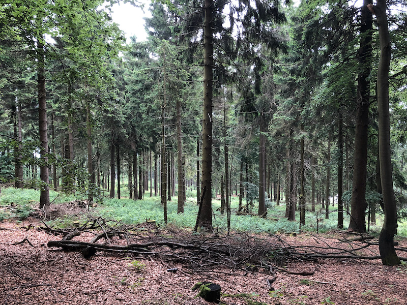 Blog Image